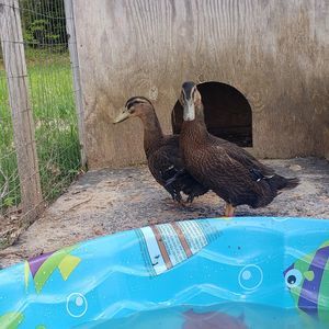 Meet your Posher, Katlyn